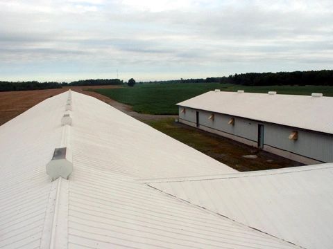 Poultry facility in Canada with Super Therm coating for optimal temperature control and animal comfort year-round